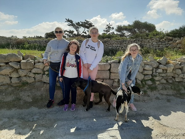 Посещение приюта беспризорных собак волонтерами Malta Crown.